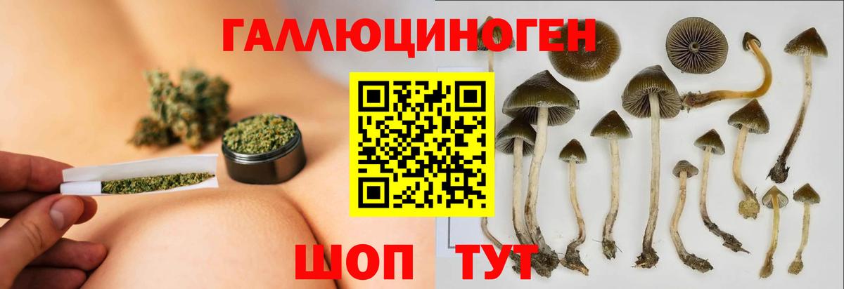 Псилоцибиновые грибы Psilocybine cubensis  даркнет сайт  Урюпинск  Вход с VPN 